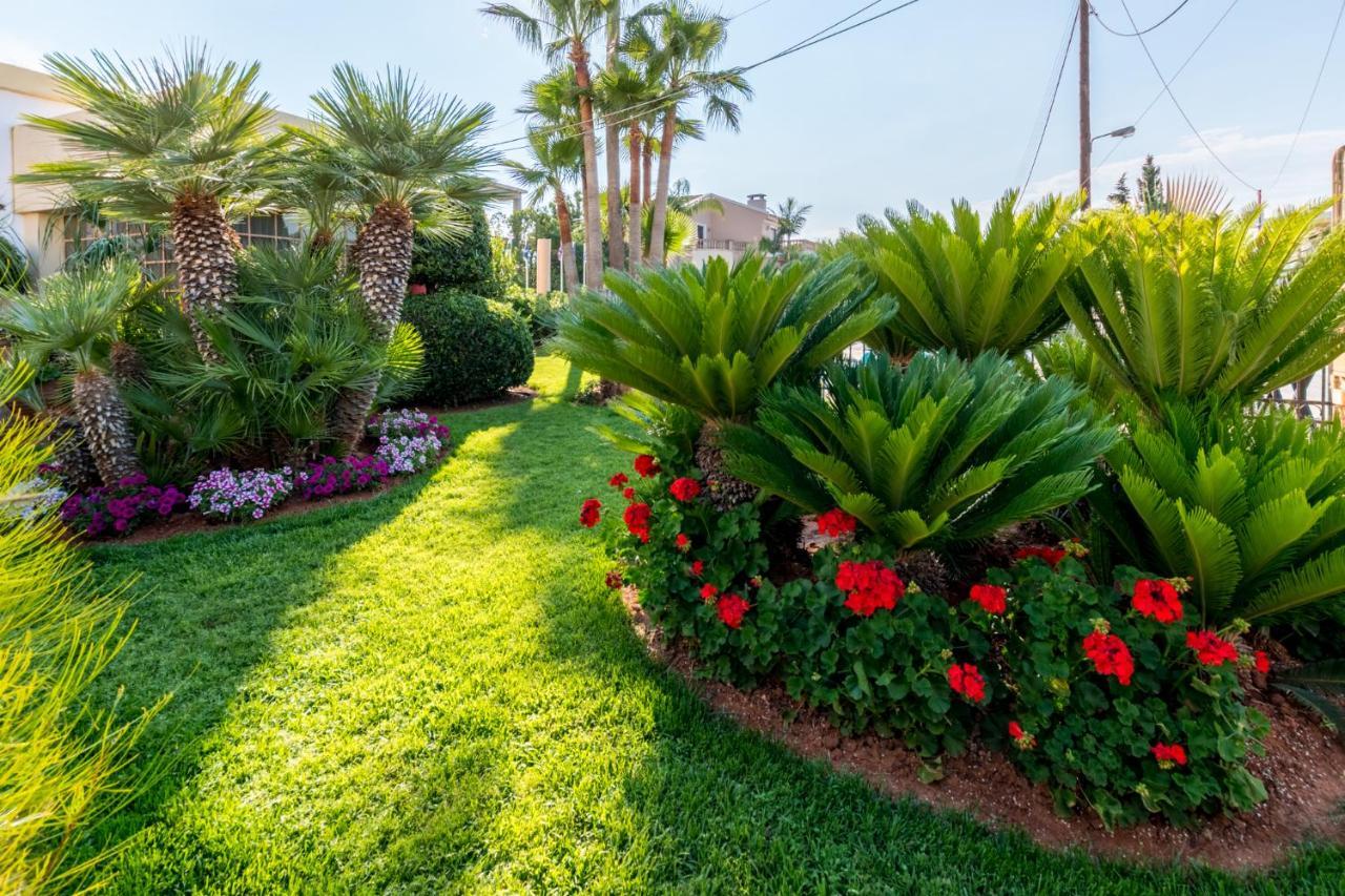 Dedalos Hotel Μάλια Εξωτερικό φωτογραφία